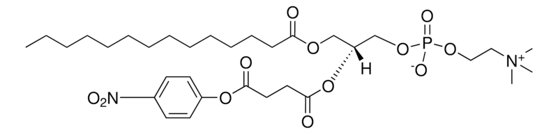 Merck 14:0 NPS PC