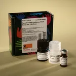 Thermo Fisher Scientific Pierce Firefly Luciferase Flash Assay Kit, 100 Reaction Kit
