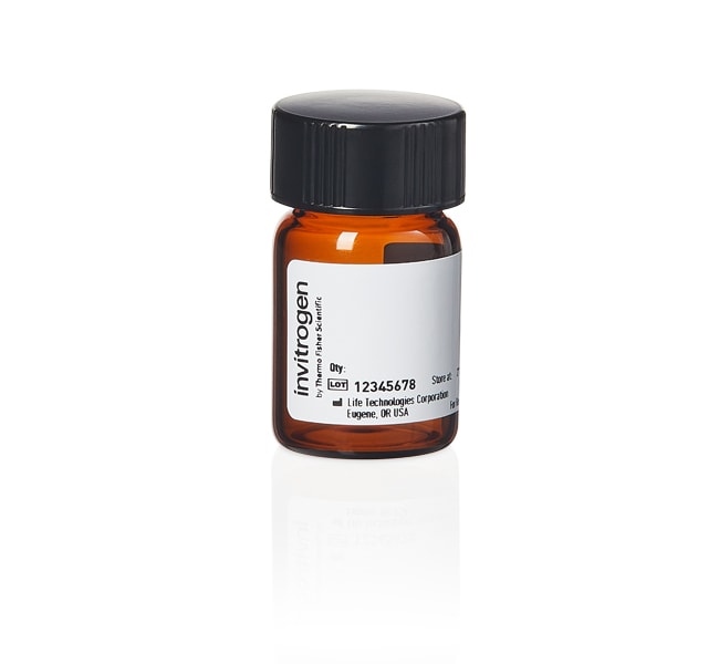 Thermo Fisher Scientific BODIPY FL Maleimide (BODIPY FL N-(2-Aminoethyl))Maleimide)