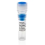 Thermo Fisher Scientific GlycoBlue Coprecipitant (15 mg/mL), 300 μL