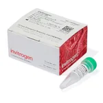 Thermo Fisher Scientific Lipofectamine MessengerMAX Transfection Reagent, 0.1 mL