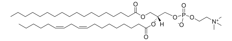 Merck Liver PC