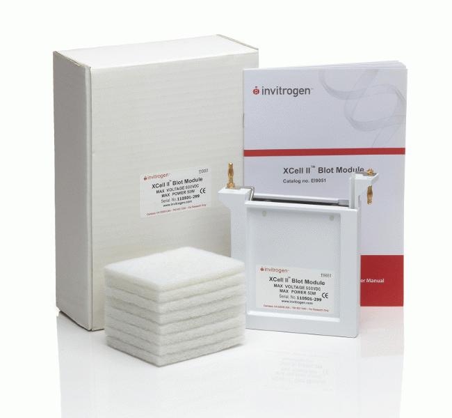 Thermo Fisher Scientific XCell II Blot Module