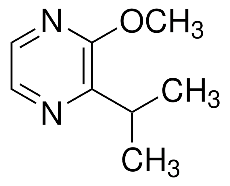 Merck 2-Isopropyl-3-methoxypyrazine