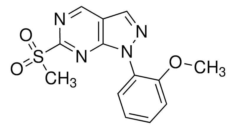 Merck 1-(2-Methoxyphenyl)-6-(methylsulfonyl)-1H-pyrazolo[3,4-d]pyrimidine