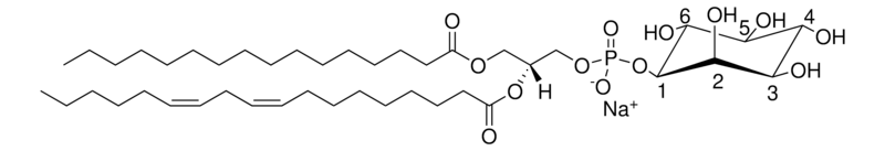 Merck Soy PI
