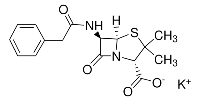 Merck PENICILLINE G POTASSIUM SALT