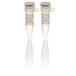 Thermo Fisher Scientific DreamTaq Hot Start PCR Master Mix, 200 rxns