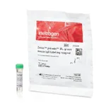 Thermo Fisher Scientific Zenon pHrodo iFL IgG Labeling Reagent, 250 μL