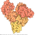 Merck PROTEIN STANDARD, MICRO STANDARD, LIQUID