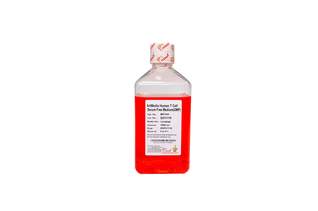 ArtMedia® Human T Cell Serum-Free Medium (GMP Grade, with phenolic red)