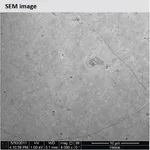 Merck Monolayer graphene film