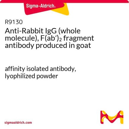Merck Anti-Rabbit IgG (whole molecule), F(ab')2 fragment antibody produced in goat