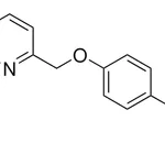 Merck 2-([4-[(6-CHLORO-2-QUINOLINYL)M-
