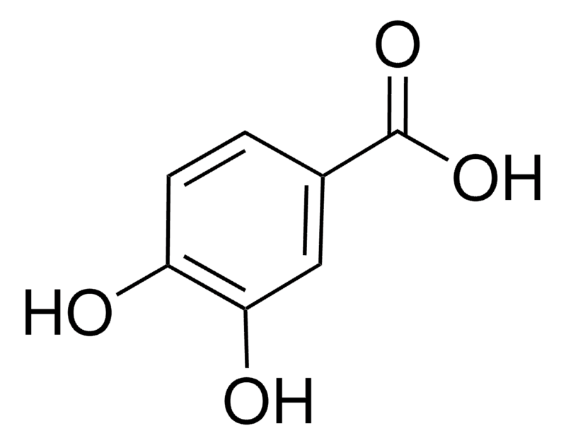 Merck 3,4-Dihydroxybenzoic acid
