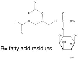 Merck L-A-PHOSPHATIDYLINOSITOL SODIUM FROM &