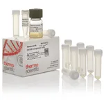 Thermo Fisher Scientific DH10B Competent Cells