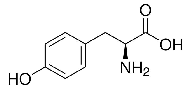 Merck L-Tyrosine