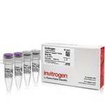 Thermo Fisher Scientific Platinum SuperFi II PCR Master Mix, 100 reactions