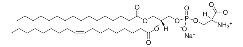Merck 16:0-18:1 PS (POPS)