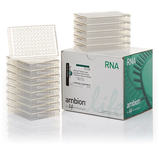 Thermo Fisher Scientific Silencer Select Human Cell Cycle Regulation siRNA Library