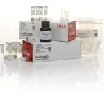 Thermo Fisher Scientific 5` RACE System for Rapid Amplification of cDNA Ends, version 2.0