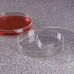 Thermo Fisher Scientific Nalgene Autoclavable PMP Petri Dishes, 100 x 15mm