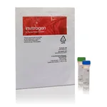 Thermo Fisher Scientific HCS CellMask Red Stain, 1 Set