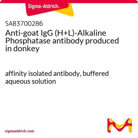 Merck Anti-goat IgG (H+L)-Alkaline Phosphatase antibody produced in donkey