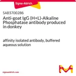 Merck Anti-goat IgG (H+L)-Alkaline Phosphatase antibody produced in donkey