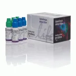 Thermo Fisher Scientific ReadyProbes Cell Viability Imaging Kit, Blue/Green