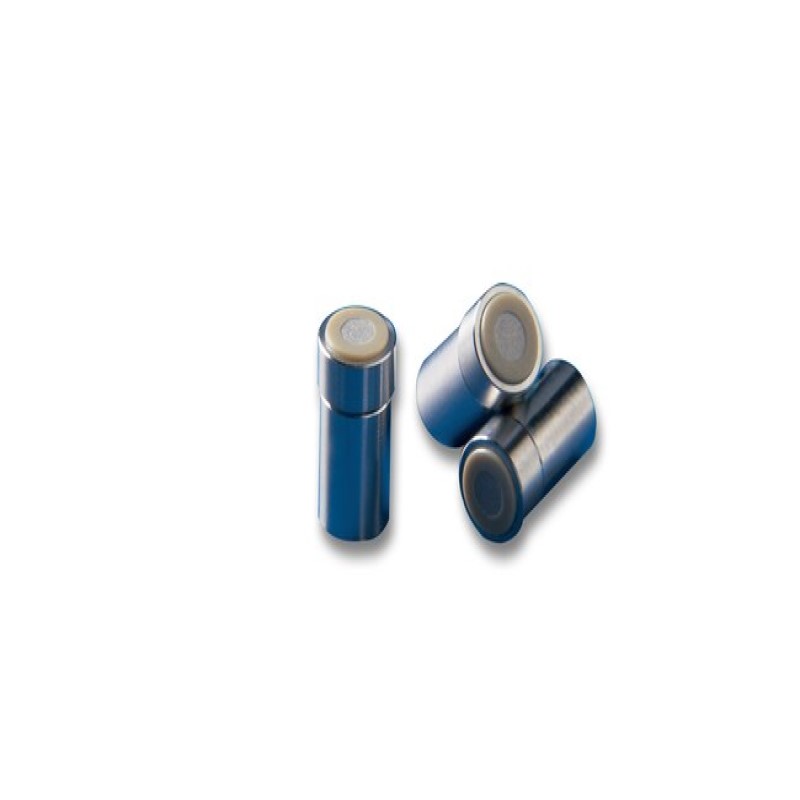 Thermo Fisher Scientific BetaSil Silica Guard Cartridges