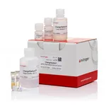 Thermo Fisher Scientific ChargeSwitch gDNA Normalized Buccal Cell Kit, 50 Preps