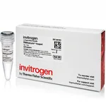 Thermo Fisher Scientific RNAsecure RNase Inactivation Reagent, 1 mL