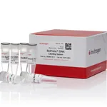 Thermo Fisher Scientific BioPrime DNA Labeling System