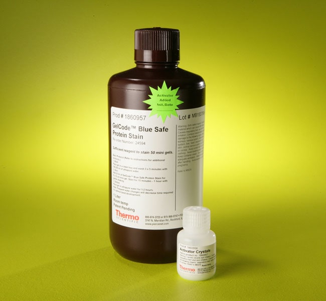 Thermo Fisher Scientific GelCode Blue Safe Protein Stain, 1 L