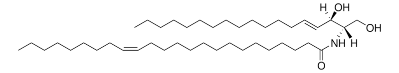 Merck C24:1 Ceramide (d18:1/24:1(15Z))
