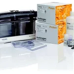 Thermo Fisher Scientific NuPAGE Bis-Tris Welcome Pack, 4 to 12%, 10-well, 1 Welcome Pk. kit