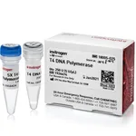 Thermo Fisher Scientific T4 DNA Polymerase, 50 U