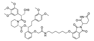 Merck DTAG-13