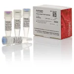 Thermo Fisher Scientific Platinum SuperFi DNA Polymerase, 100 units