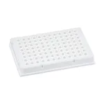 현대마이크로 Real Time PCR Plate 0.1㎖ 96 Well White