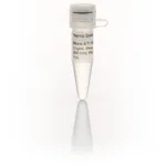 Thermo Fisher Scientific RNase A/T1 Mix