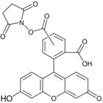 Merck 5(6)-CARBOXYFLUORESCEIN N-HYDROXYSUCCIN&