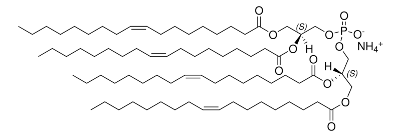 Merck 18:1 BDP (S,S)