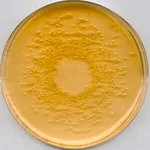 Merck Nutrient AgarNutriSelect Plus