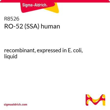 Merck RO-52 (SSA) human