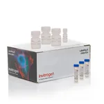 Thermo Fisher Scientific Click-iT EdU Cell Proliferation Kit for Imaging, Alexa Fluor 647 dye