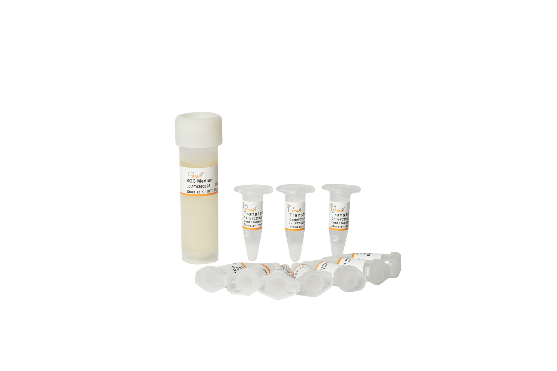 Trans109 Chemically Competent Cell