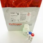 Thermo Fisher Scientific Click-iT AHA Alexa Fluor 488 Protein Synthesis HCS Assay